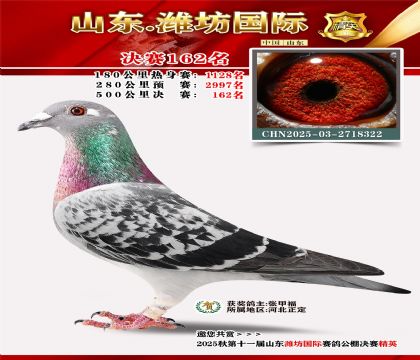 潍坊国际决赛162名