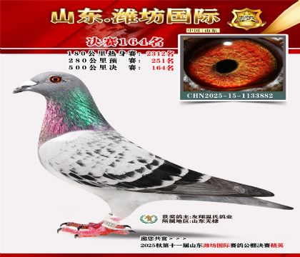 潍坊国际决赛164名