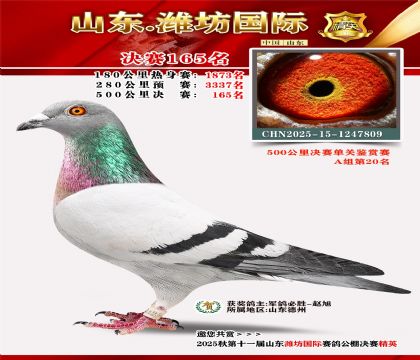 潍坊国际决赛165名