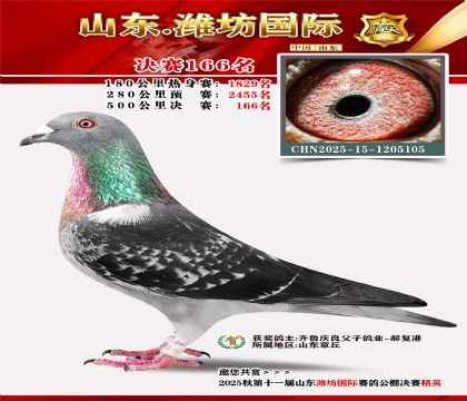 潍坊国际决赛166名