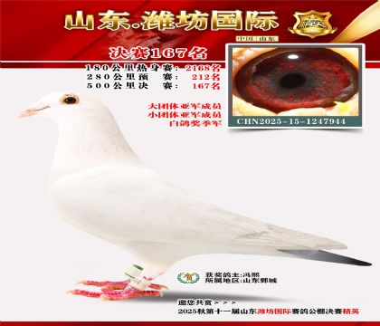 潍坊国际决赛167名