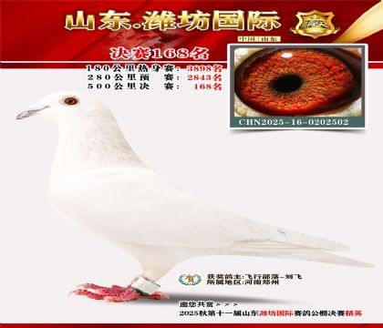 潍坊国际决赛168名