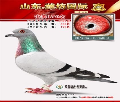 潍坊国际决赛170名