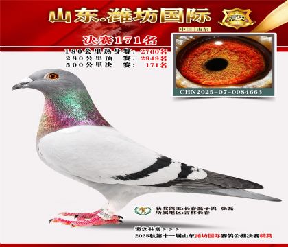 潍坊国际决赛171名