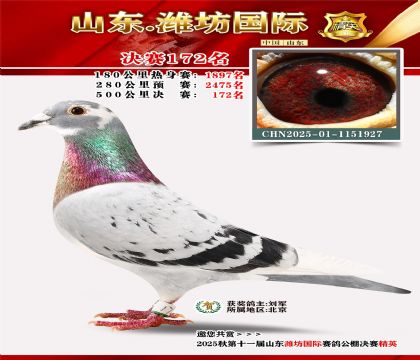 潍坊国际决赛172名