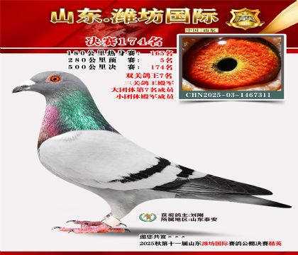 潍坊国际决赛174名(三关鸽王4名)