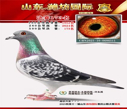 潍坊国际决赛173名