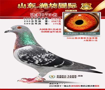 潍坊国际决赛175名