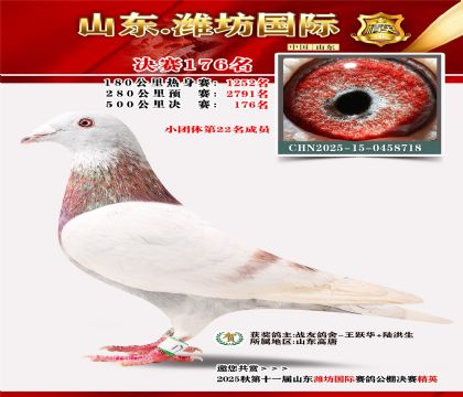 潍坊国际决赛176名