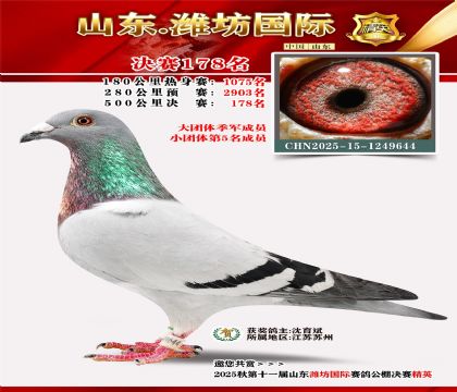 潍坊国际决赛178名