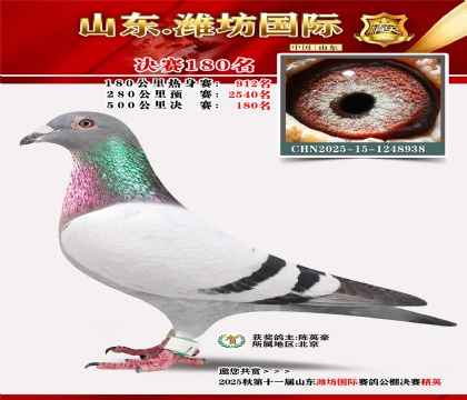 潍坊国际决赛180名