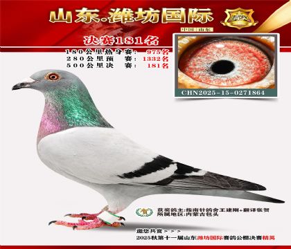 潍坊国际决赛181名