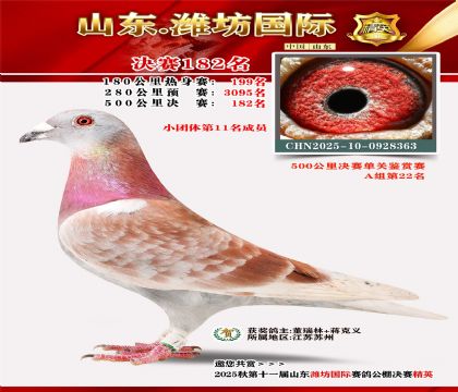 潍坊国际决赛182名