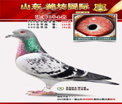 潍坊国际决赛184名