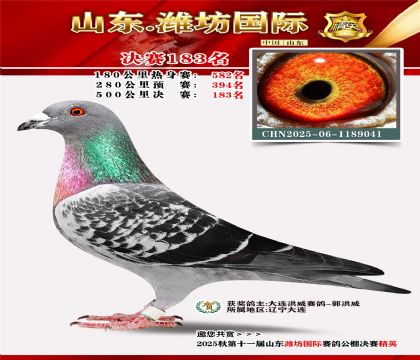 潍坊国际决赛183名