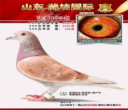 潍坊国际决赛185名