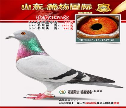 潍坊国际决赛187名