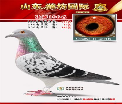 潍坊国际决赛186名