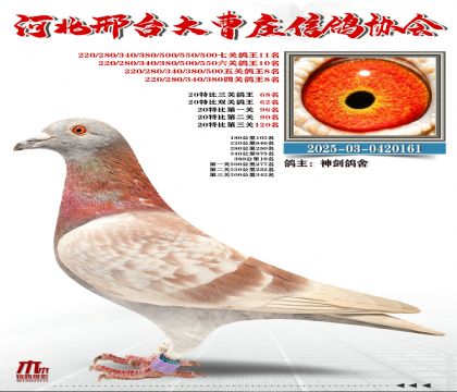 20�ر�����68��,���P(gu��n)����11��