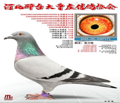 20�ر�����69��,���P(gu��n)����32��