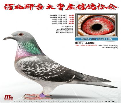 20�ر�����70��