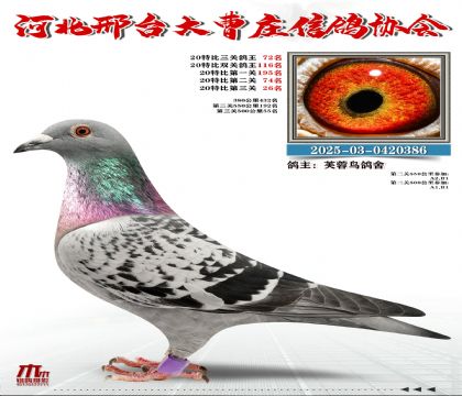 20�ر�����72��