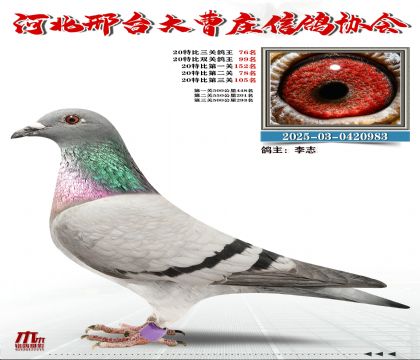 20�ر�����76��