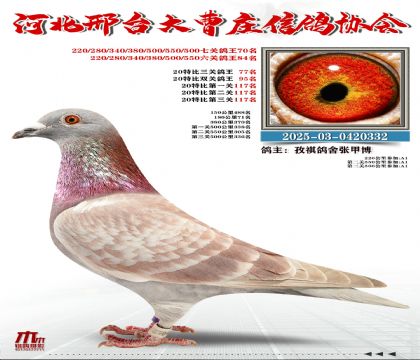 20�ر�����77��