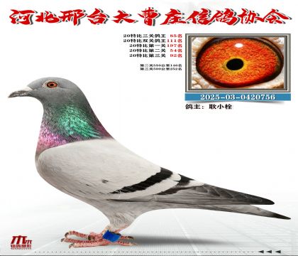 20�ر�����85��