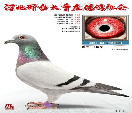 20�ر�����89��