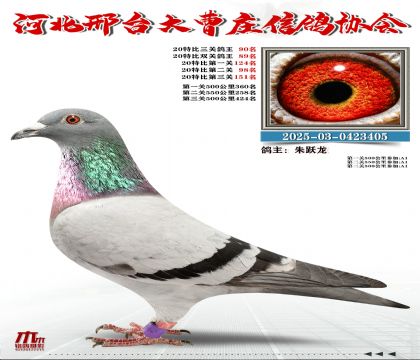 20�ر�����90��