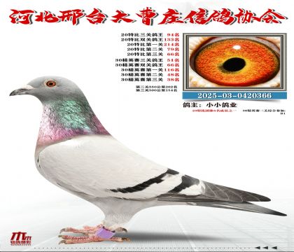 20�ر�����94��