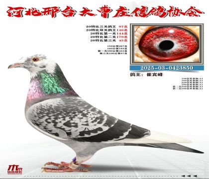 20�ر�����97��