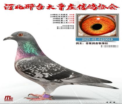 20�ر�����99��