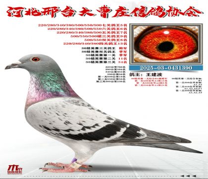 30��Ӣ������܊,���P(gu��n)����5��