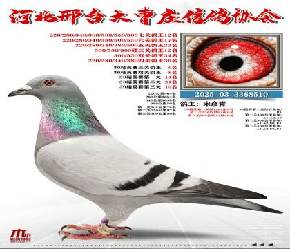 30��Ӣ����6��,���P(gu��n)����12��