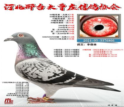 30��Ӣ����7��