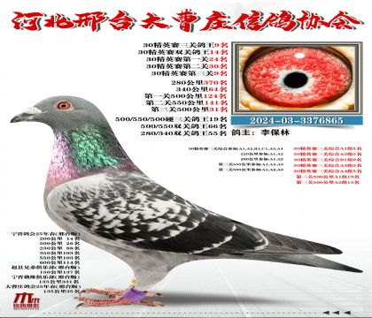 30��Ӣ����9��,Ӳ���P(gu��n)����19��