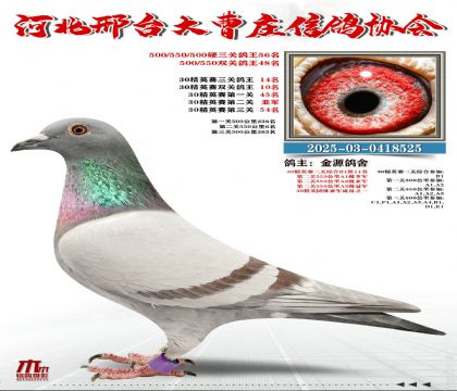 30��Ӣ����14��,�ڶ��P(gu��n)550����6��