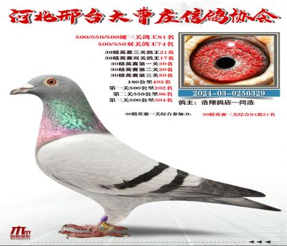 30��Ӣ����21��