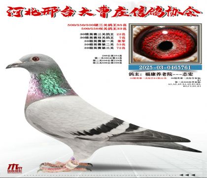 30��Ӣ����22��