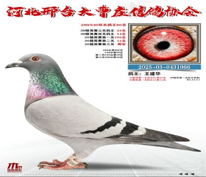 30��Ӣ����28��