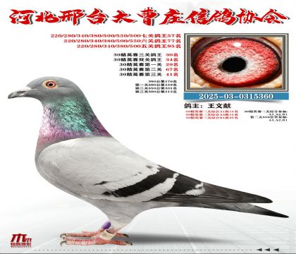 30��Ӣ����30��