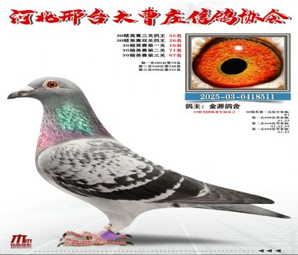 30��Ӣ����35��