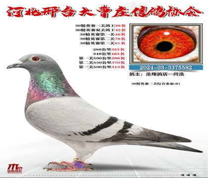 30��Ӣ����38��