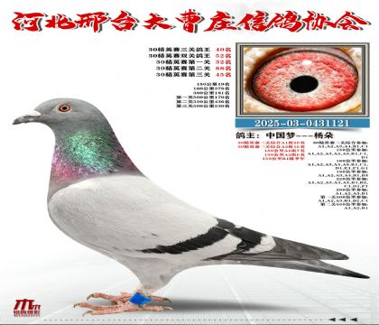 30��Ӣ����40��