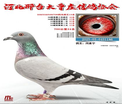 30��Ӣ����42��,700����34��