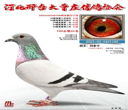 30��Ӣ����47��,700����25��