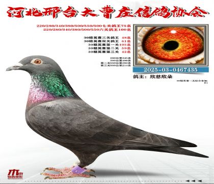 30��Ӣ����48��