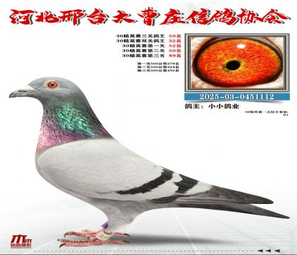 30��Ӣ����50��